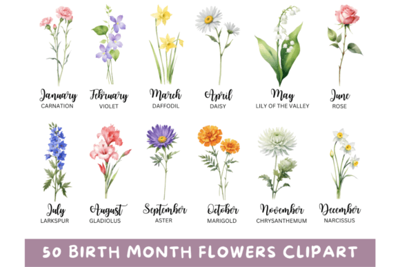 Download 50 Watercolor Birth Month Flowers PNG - Png Collection